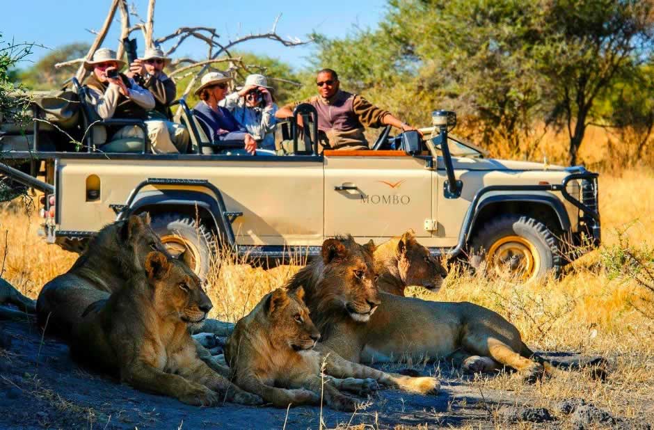 Best tours in Arusha